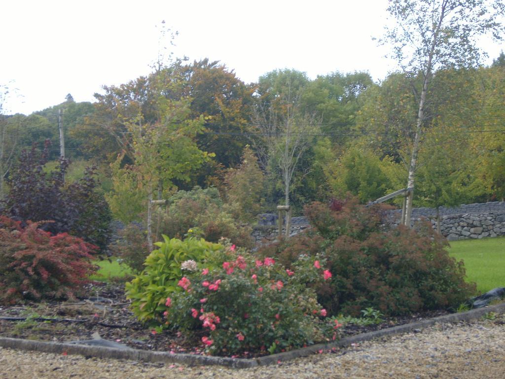 Ashford Haven B&B Конг Экстерьер фото