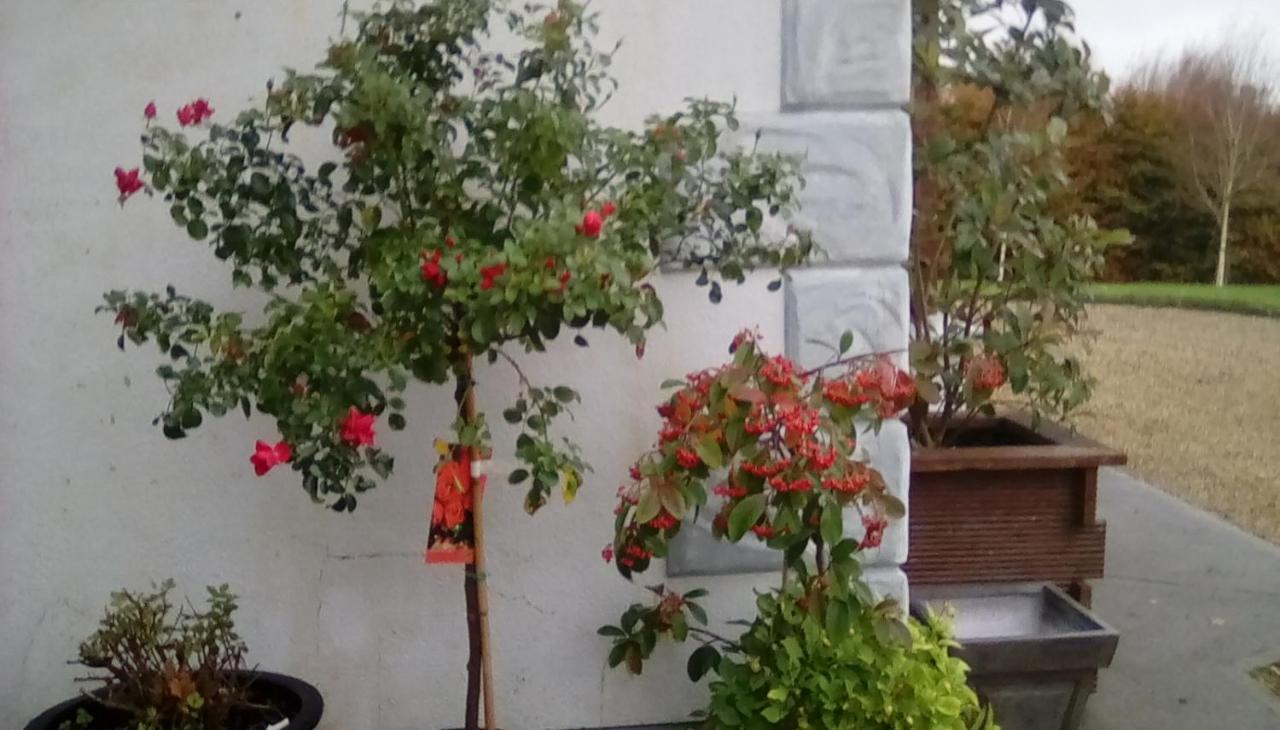Ashford Haven B&B Конг Экстерьер фото